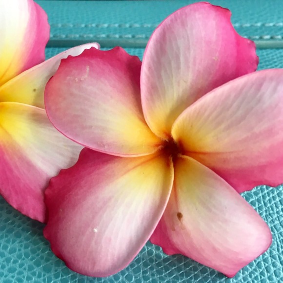 wahinehawaii